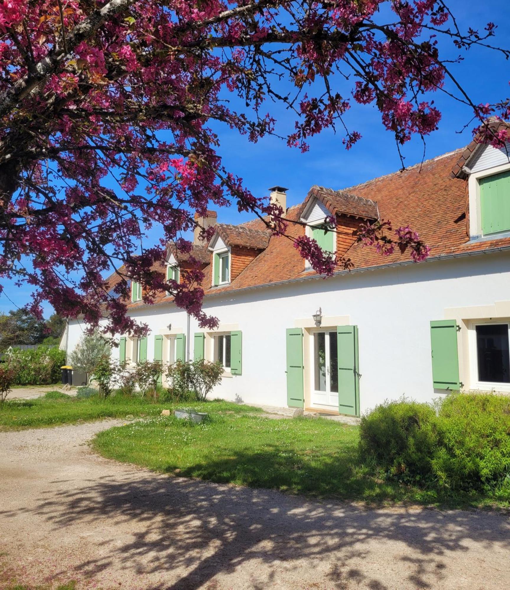 L Amalia Au Coeur Des Chateaux De La Loire Et Du Zoo De Beauval Sambin Esterno foto